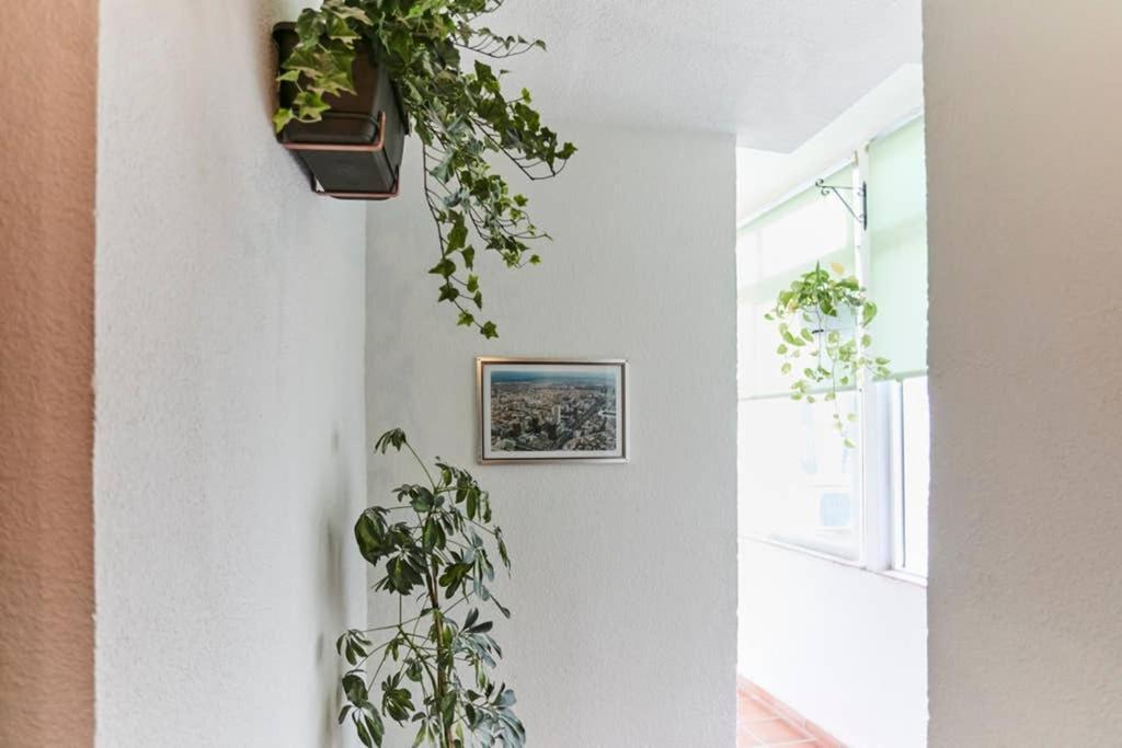 Original Y Coqueto Apartamento Junto A Plaza Mayor Appartement Madrid Buitenkant foto
